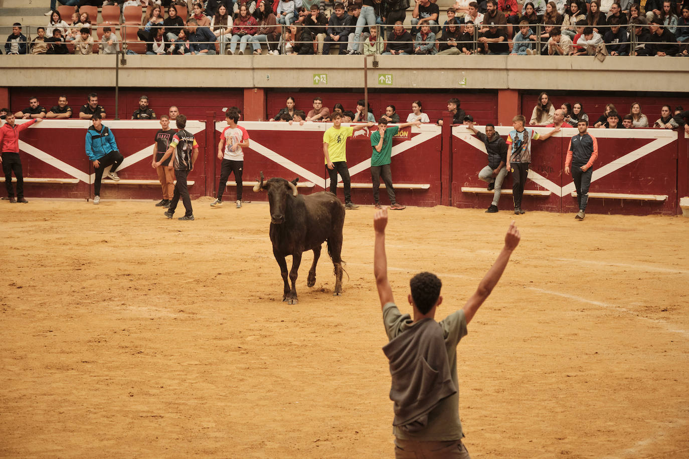 Lleno total en las vaquillas: las imágenes