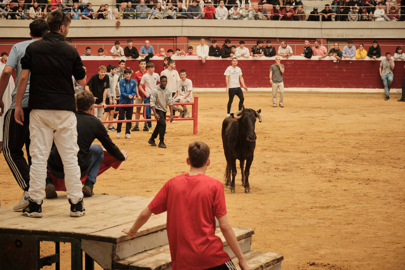 Lleno total en las vaquillas: las imágenes