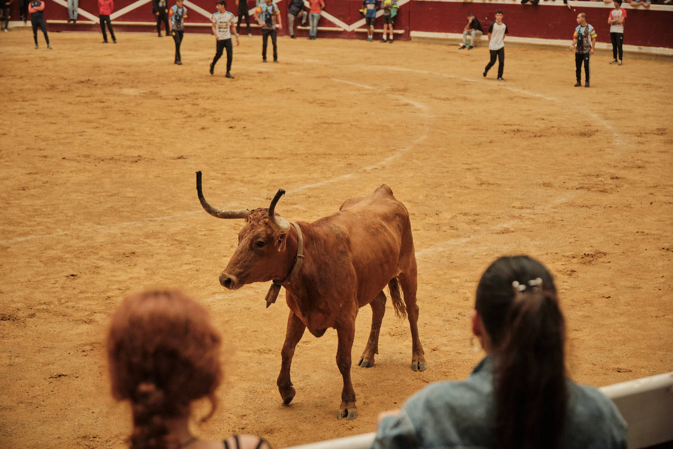 Lleno total en las vaquillas: las imágenes