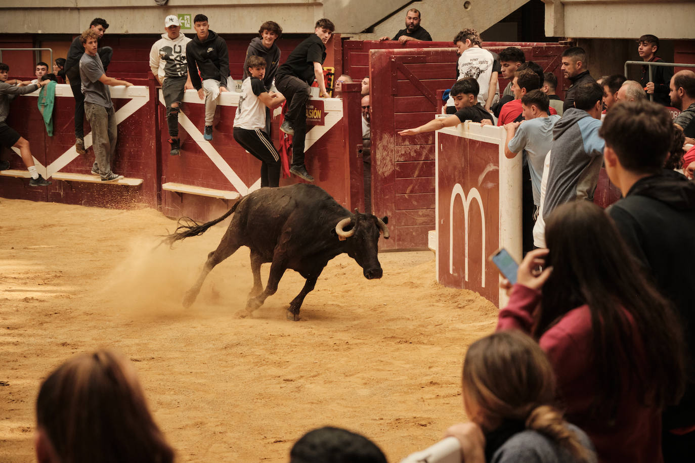 Lleno total en las vaquillas: las imágenes
