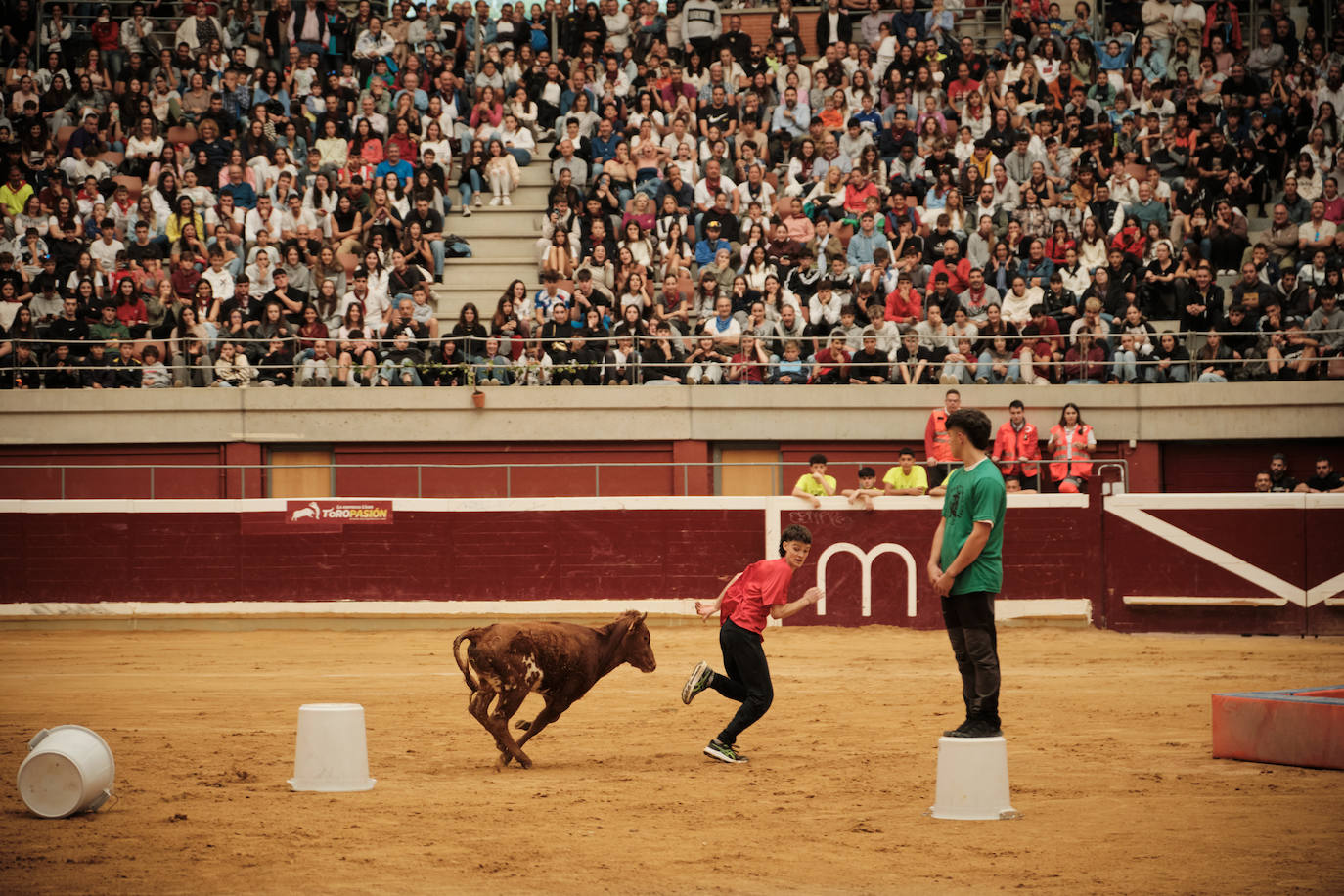 Lleno total en las vaquillas: las imágenes