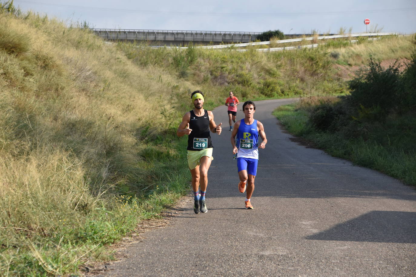 Búscate en la segunda etapa de la Ruta Jacobea del Ebro