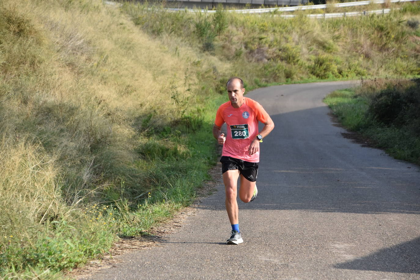 Búscate en la segunda etapa de la Ruta Jacobea del Ebro