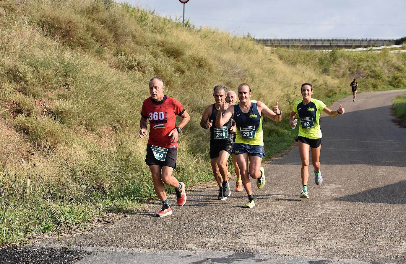Búscate en la segunda etapa de la Ruta Jacobea del Ebro