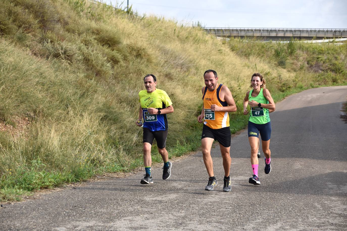 Búscate en la segunda etapa de la Ruta Jacobea del Ebro