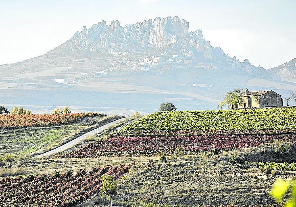 El territorio es la clave en el proyecto de Bodegas Tarón.