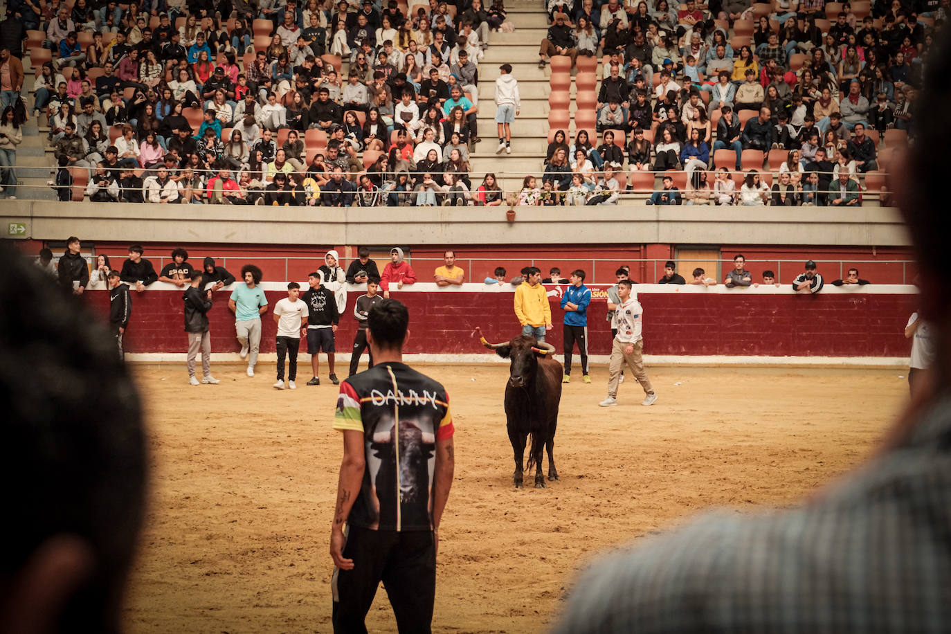 Emoción y risas en las vaquillas