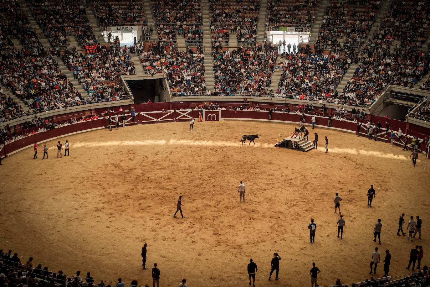 Emoción y risas en las vaquillas