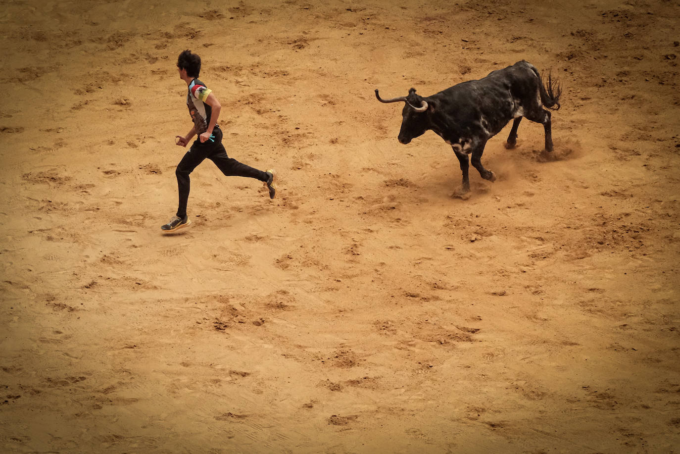 Emoción y risas en las vaquillas
