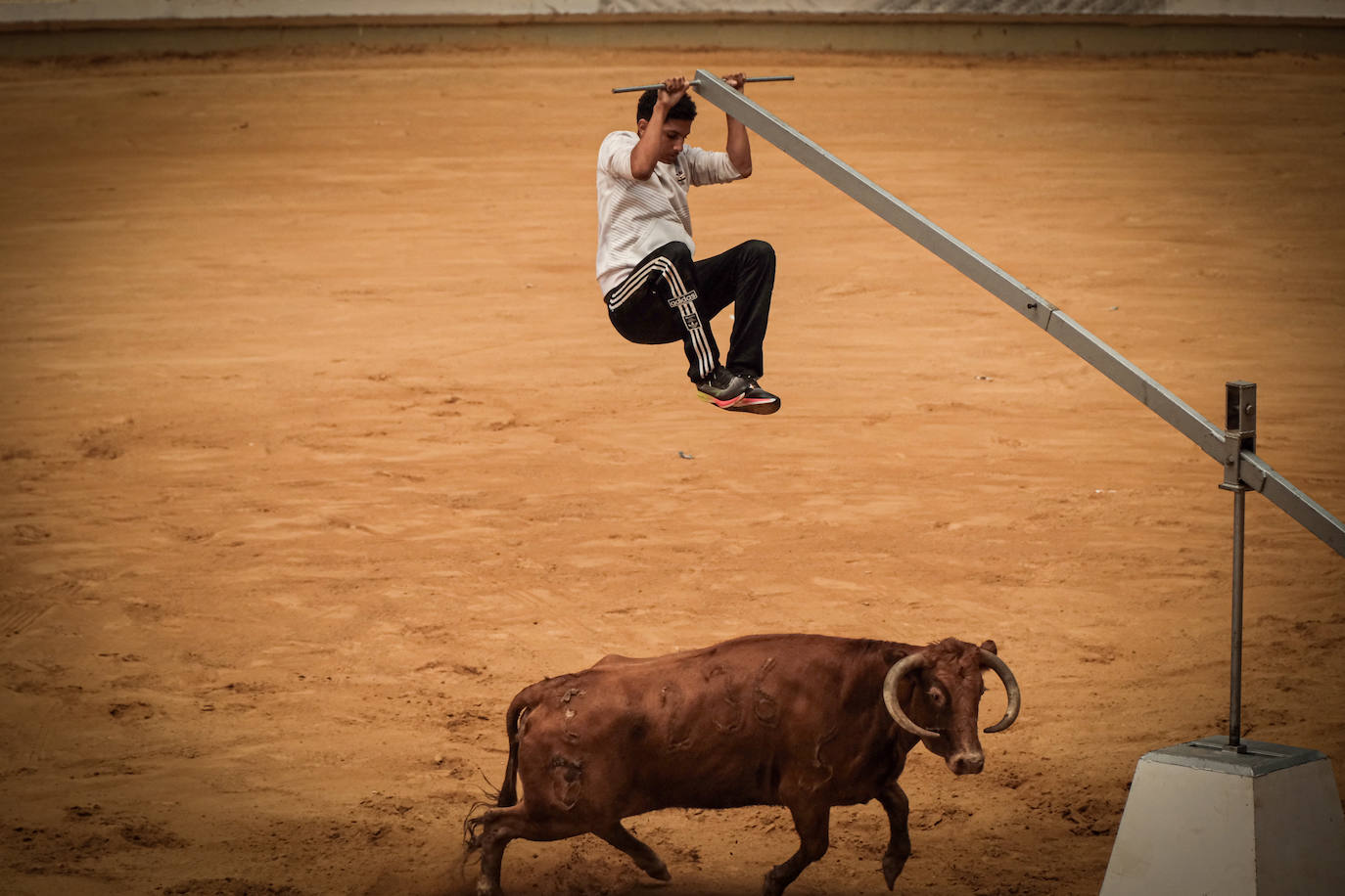 Emoción y risas en las vaquillas