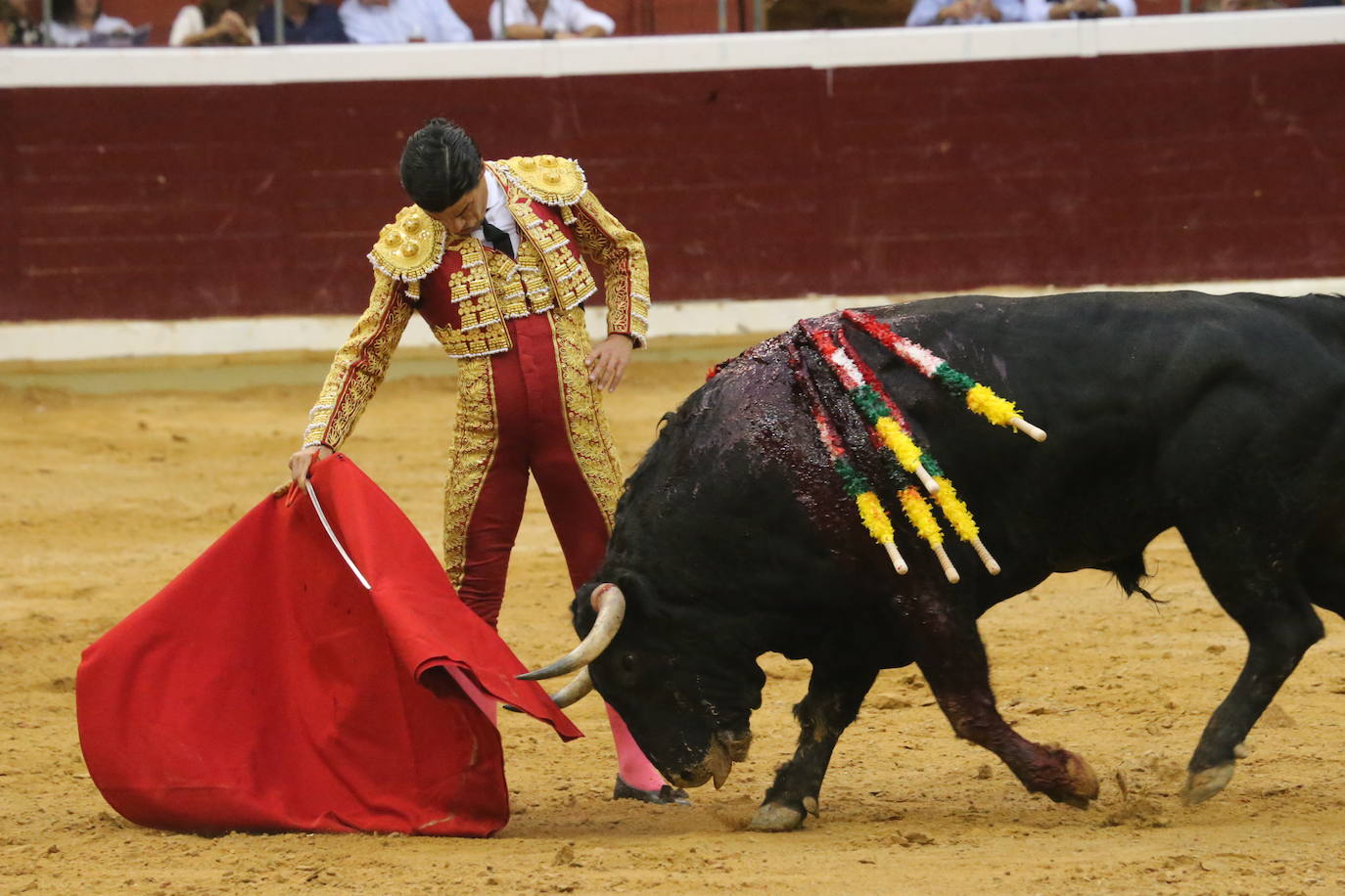 Aguado, Roca Rey y Ortega, en la tercera corrida de la feria de San Mateo