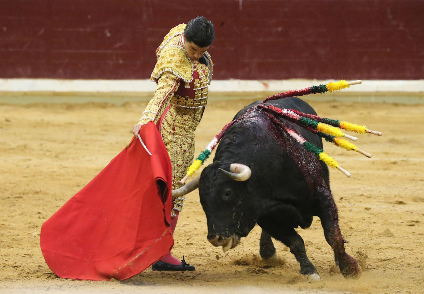 Aguado, Roca Rey y Ortega, en la tercera corrida de la feria de San Mateo