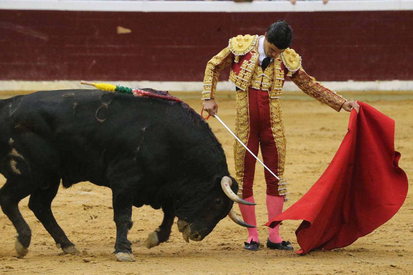 Aguado, Roca Rey y Ortega, en la tercera corrida de la feria de San Mateo