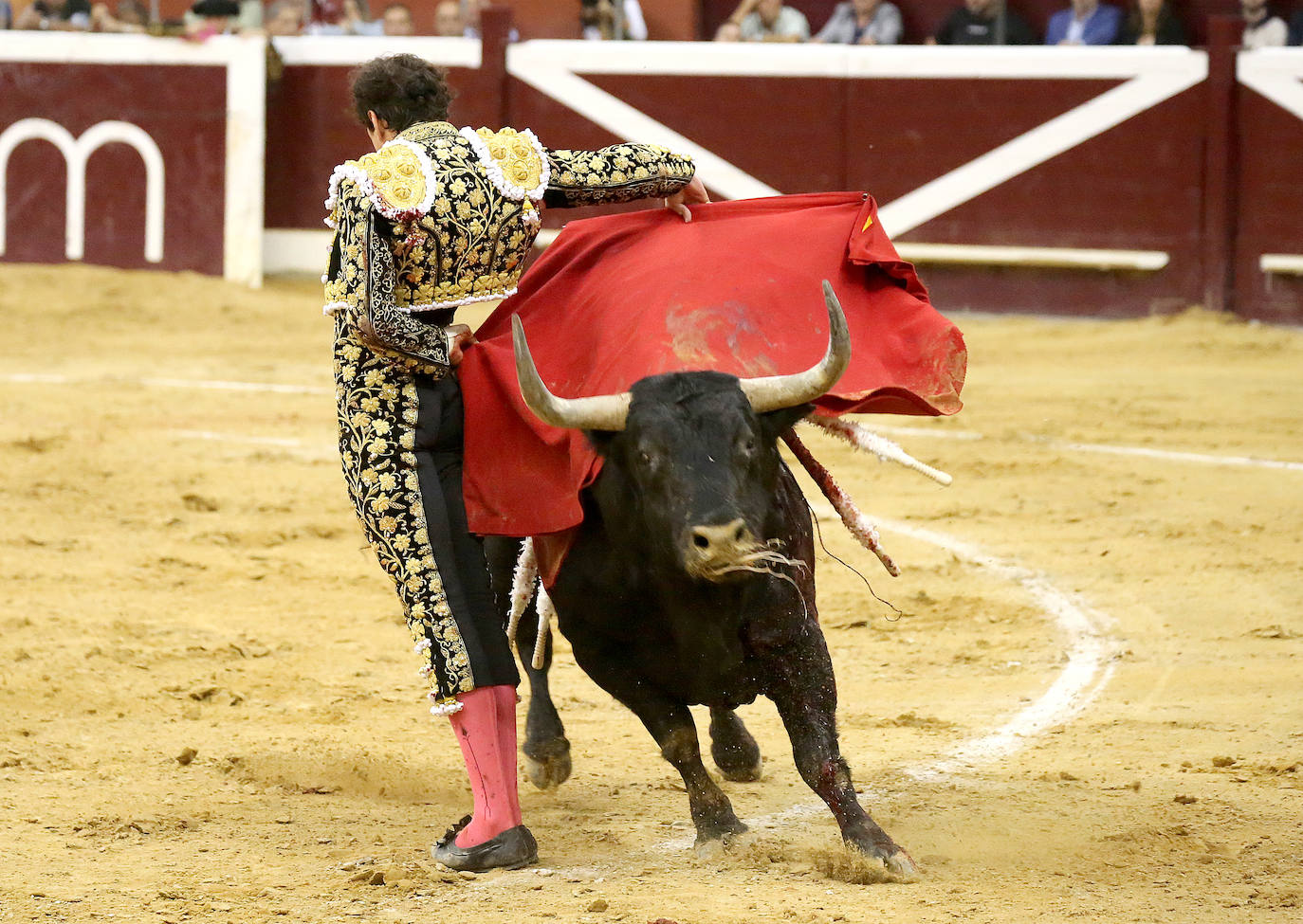 Aguado, Roca Rey y Ortega, en la tercera corrida de la feria de San Mateo