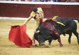 Aguado, Roca Rey y Ortega, en la tercera corrida de la feria de San Mateo