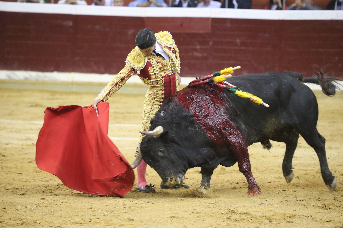 Aguado, Roca Rey y Ortega, en la tercera corrida de la feria de San Mateo