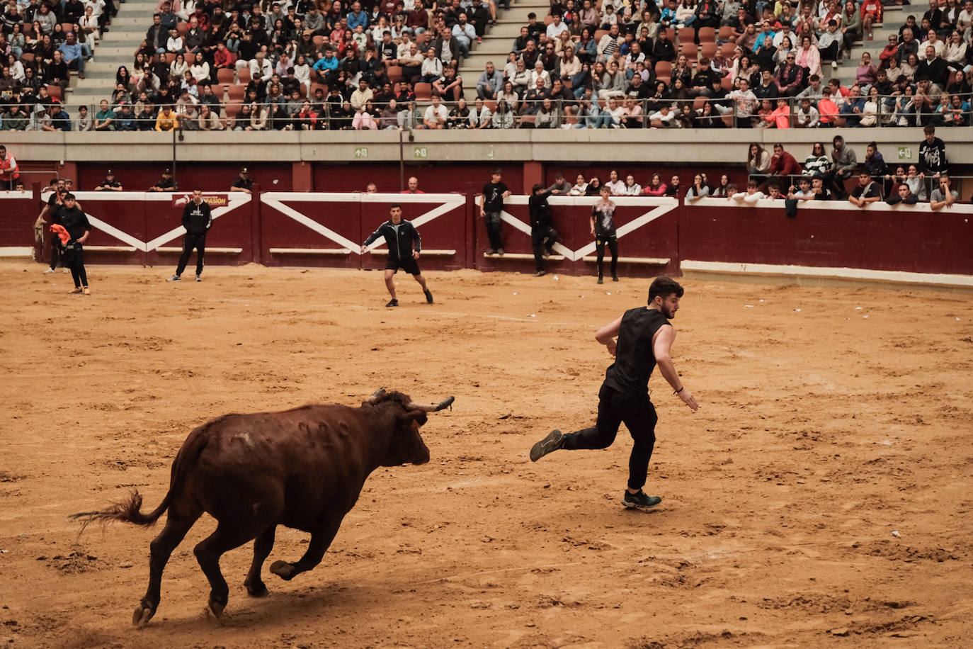 Las vaquillas no defraudan en el martes mateo