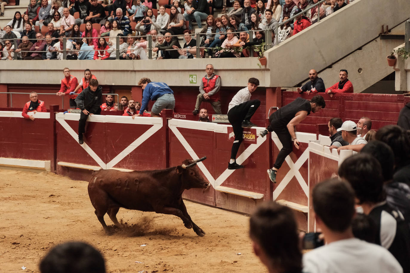 Las vaquillas no defraudan en el martes mateo