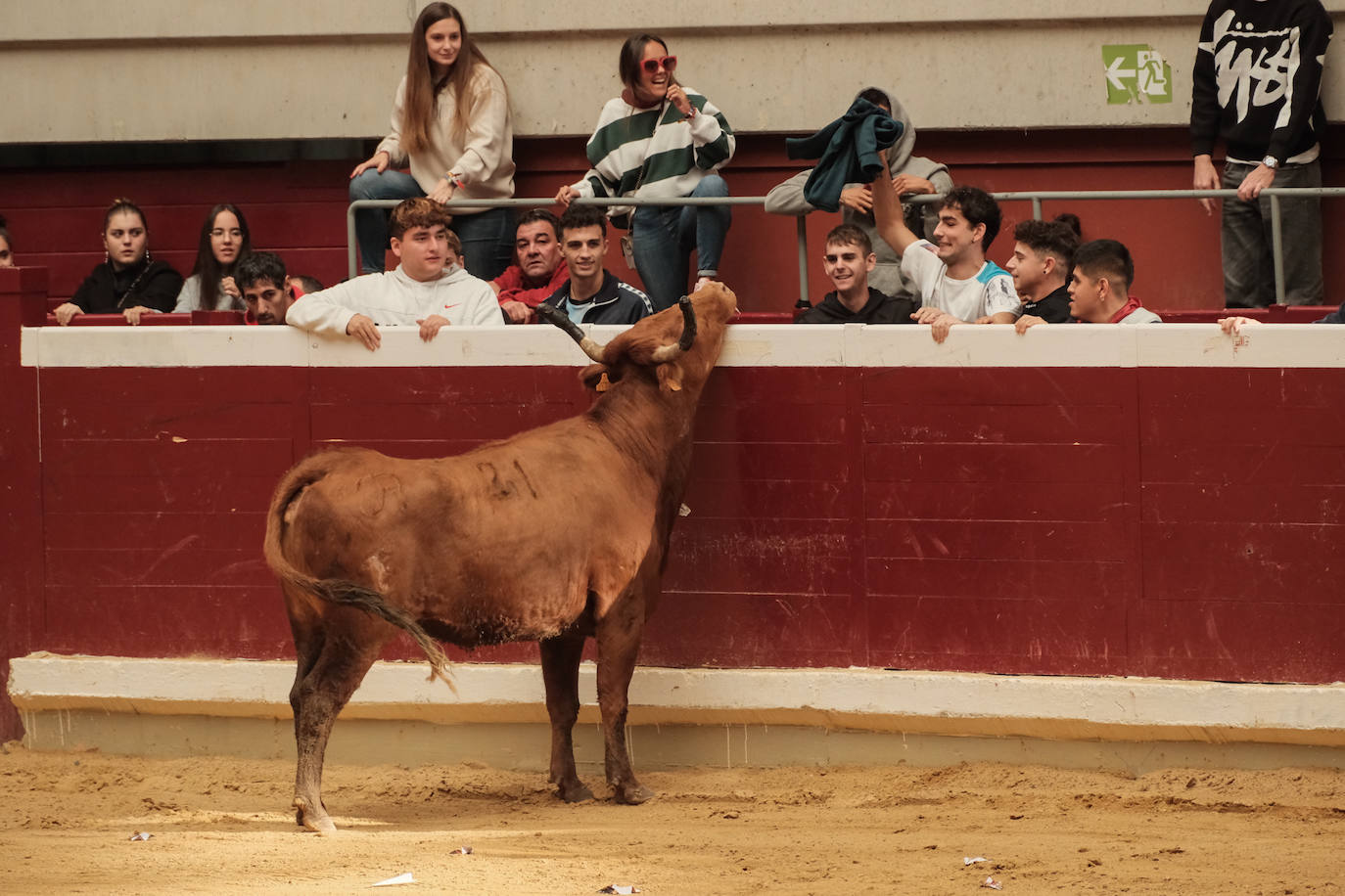 Las vaquillas no defraudan en el martes mateo