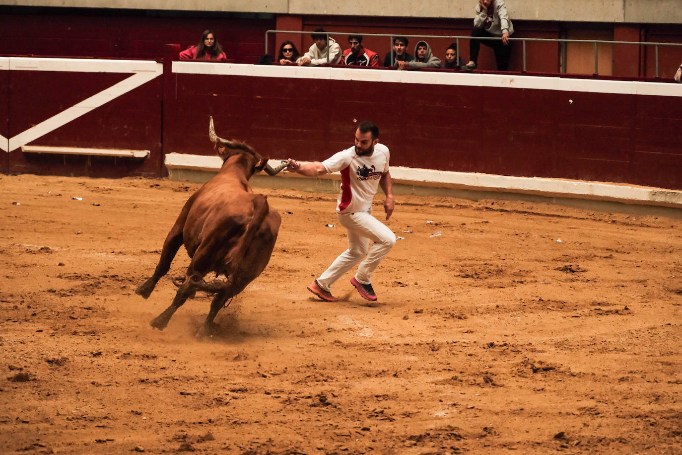 Las vaquillas no defraudan en el martes mateo