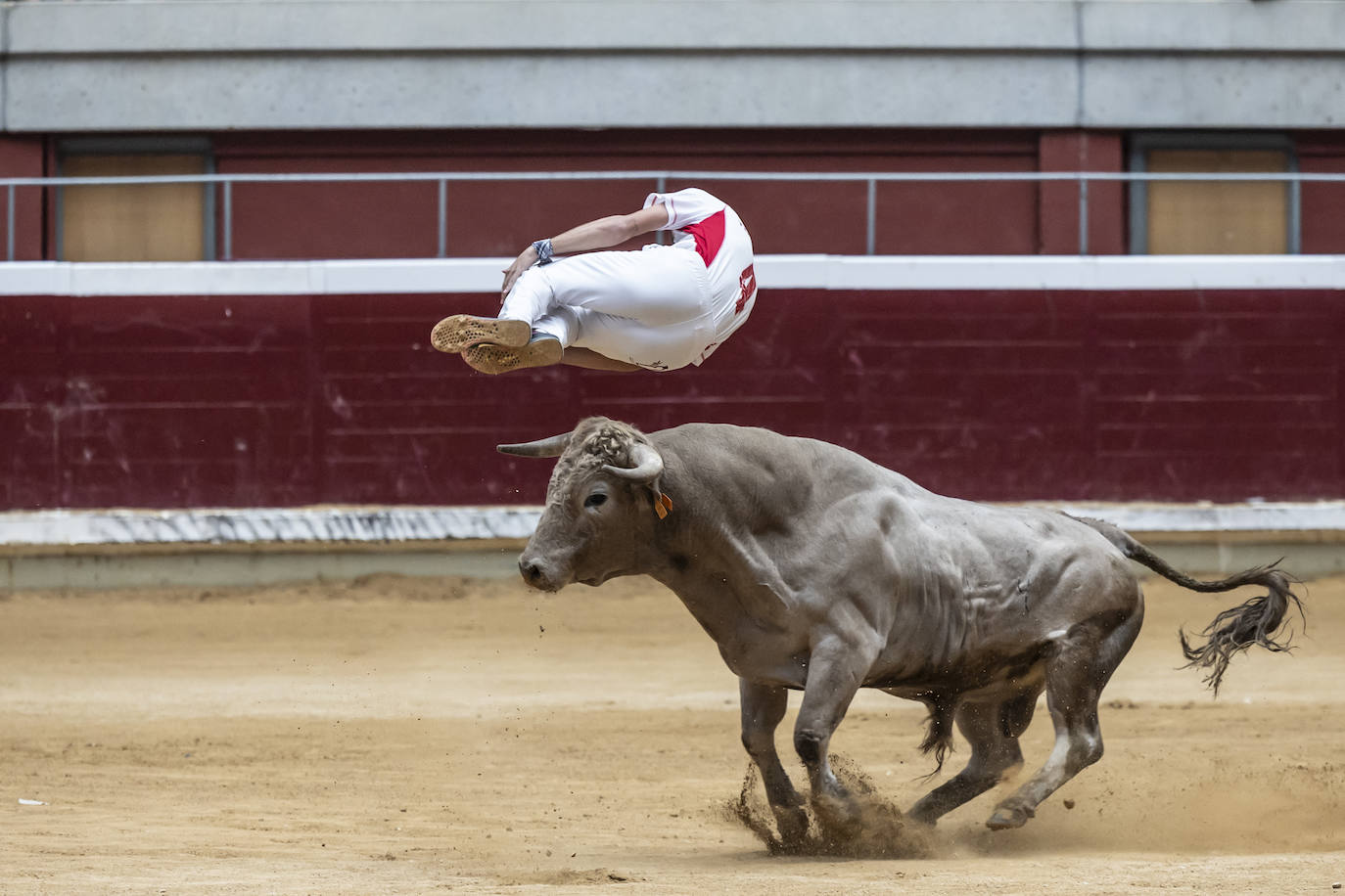 Concurso de recortes en la plaza de toros La Ribera, en imágenes