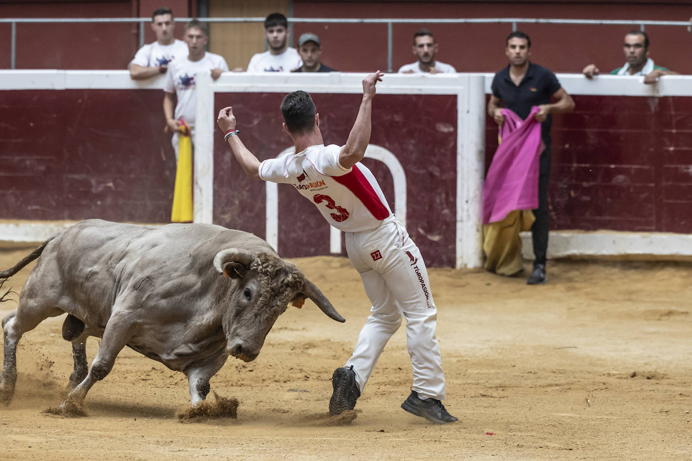 Concurso de recortes en la plaza de toros La Ribera, en imágenes