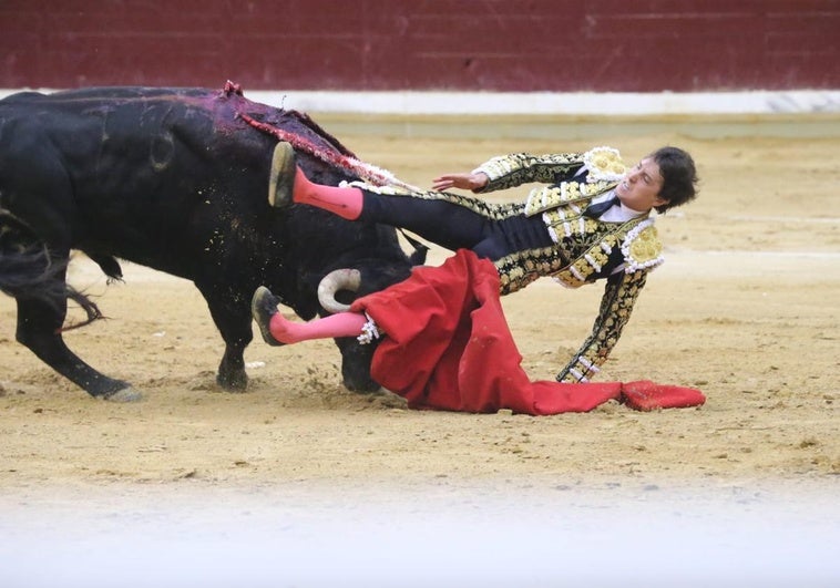 El susto de Roca Rey en la tercera corrida de San Mateo