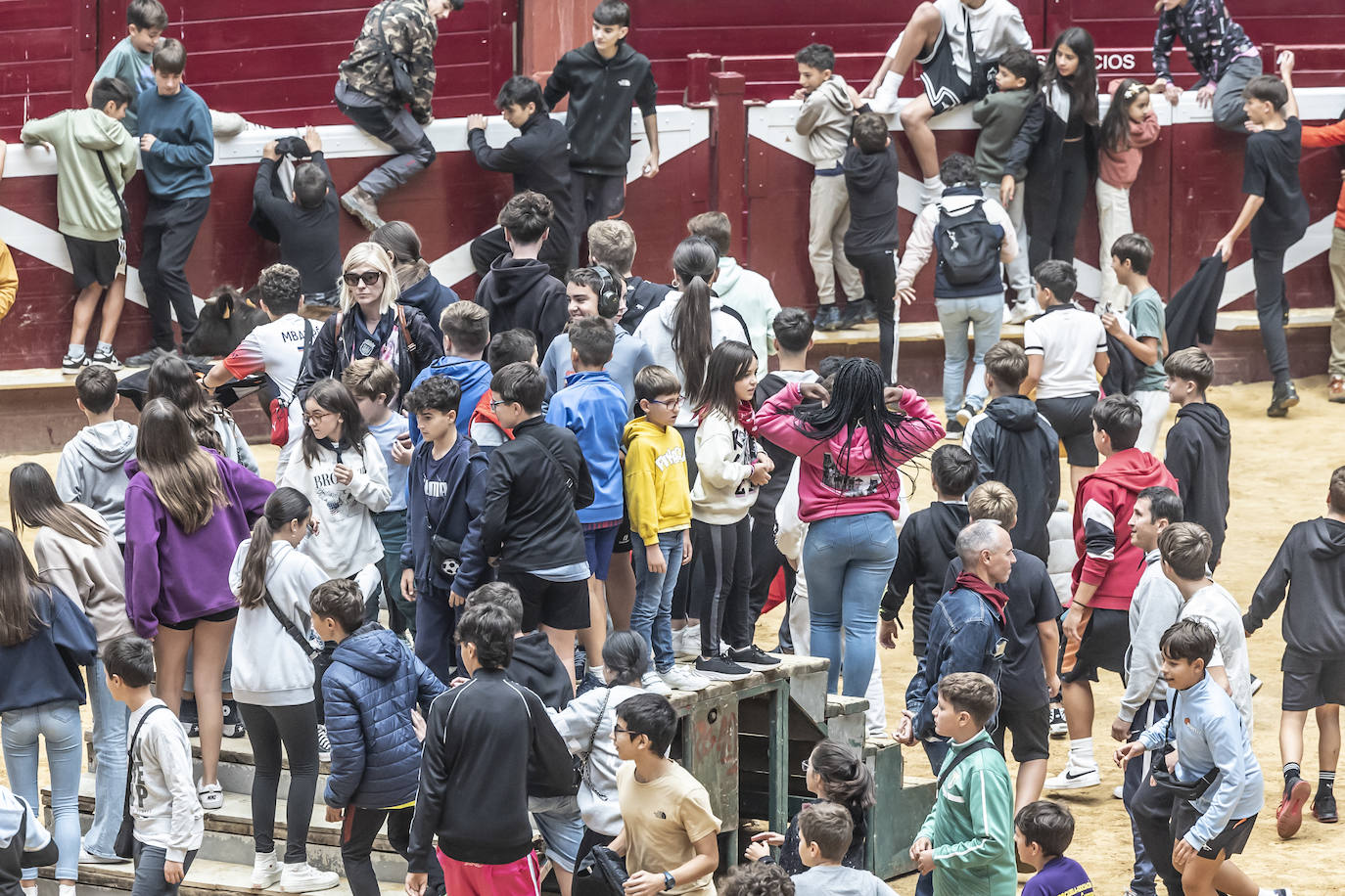 La Ribera acoge las vaquillas y el certamen de becerristas &#039;Quiero ser torero como Diego Urdiales&#039;