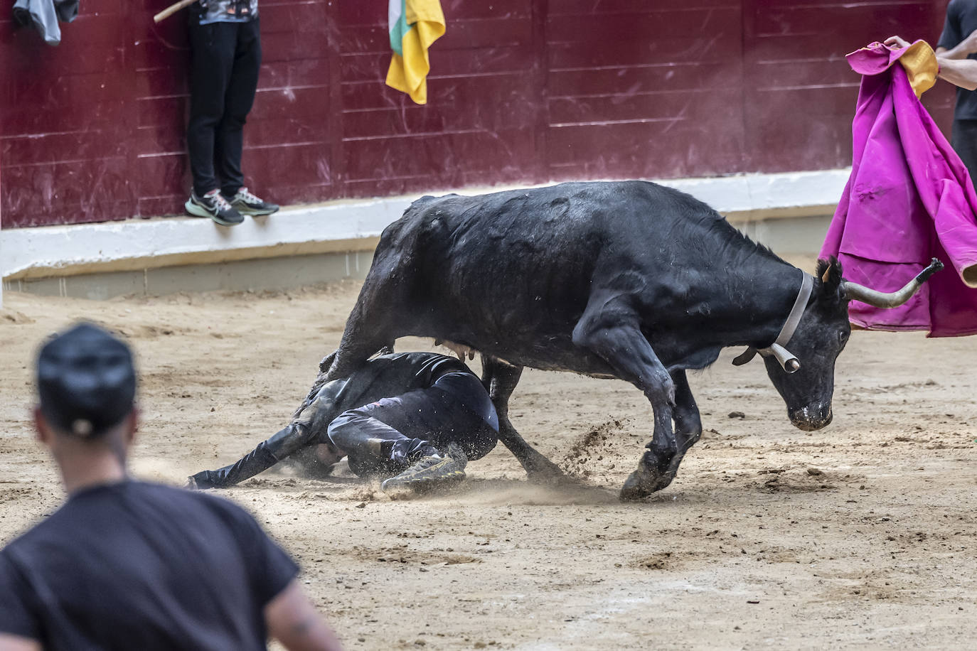 La Ribera acoge las vaquillas y el certamen de becerristas &#039;Quiero ser torero como Diego Urdiales&#039;