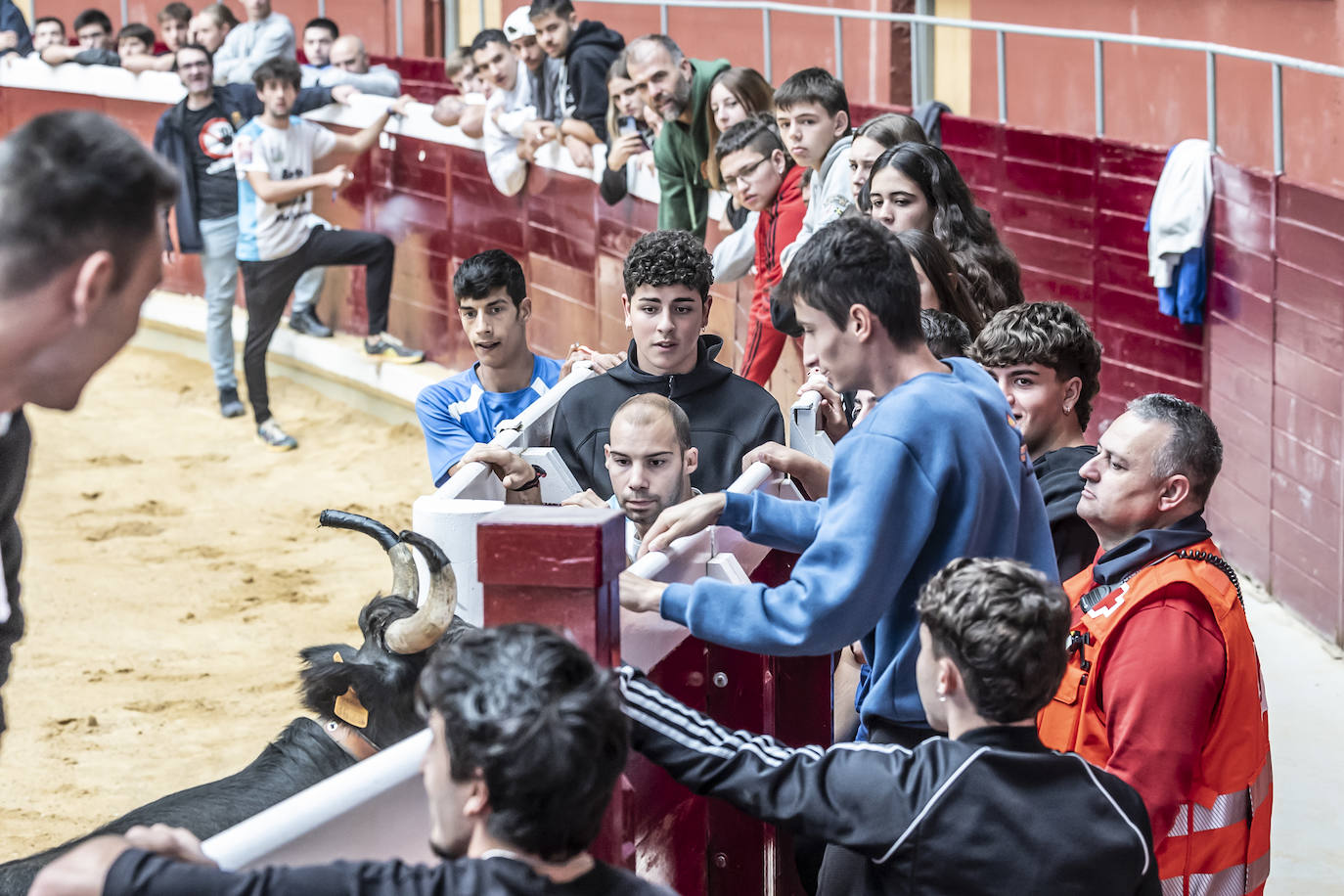 La Ribera acoge las vaquillas y el certamen de becerristas &#039;Quiero ser torero como Diego Urdiales&#039;