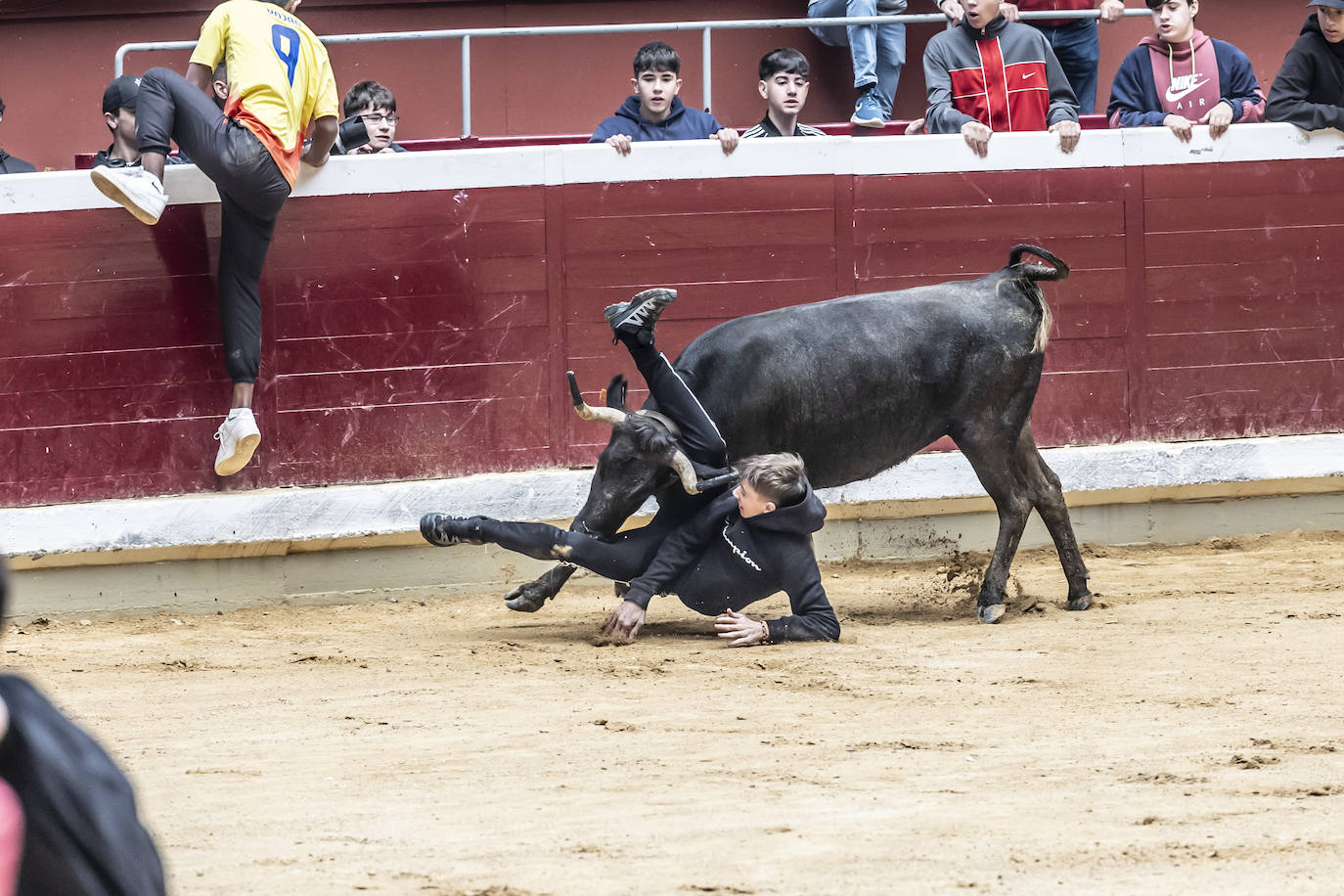 La Ribera acoge las vaquillas y el certamen de becerristas &#039;Quiero ser torero como Diego Urdiales&#039;