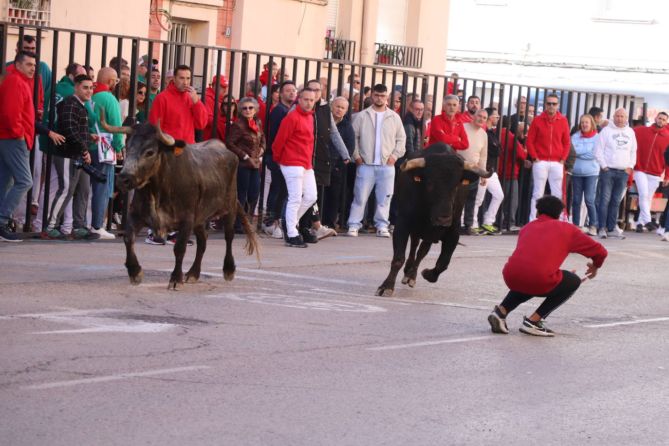 Arnedo continúa con sus fiestas de San Cosme y San Damián