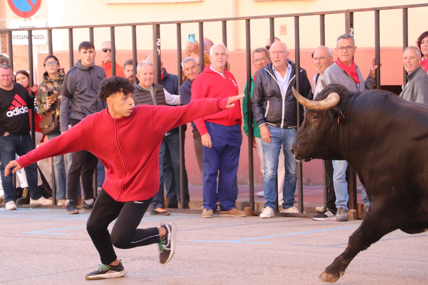 Arnedo continúa con sus fiestas de San Cosme y San Damián