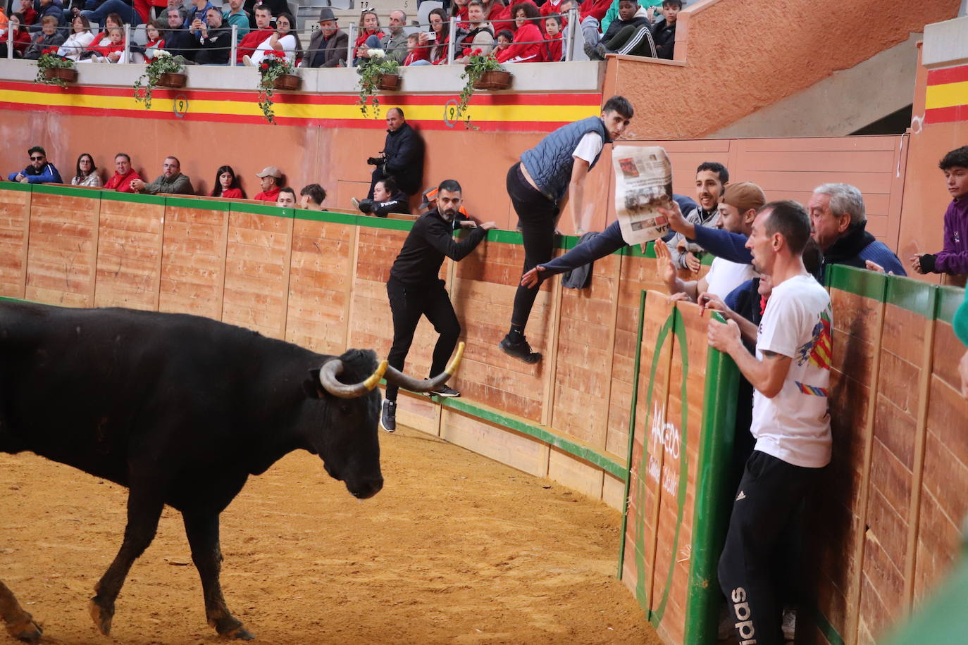 Los jóvenes y los niños, protagonistas del domingo de fiestas en Arnedo