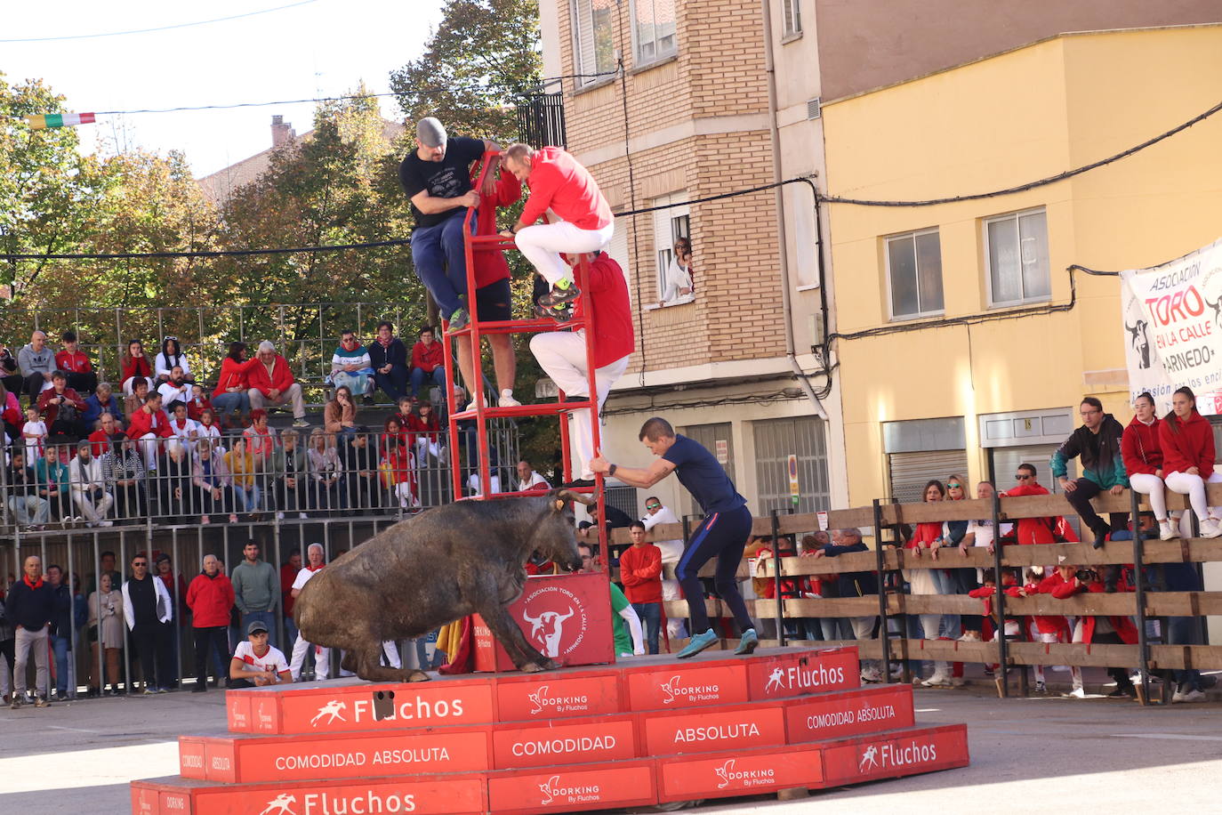 Arnedo continúa de fiesta