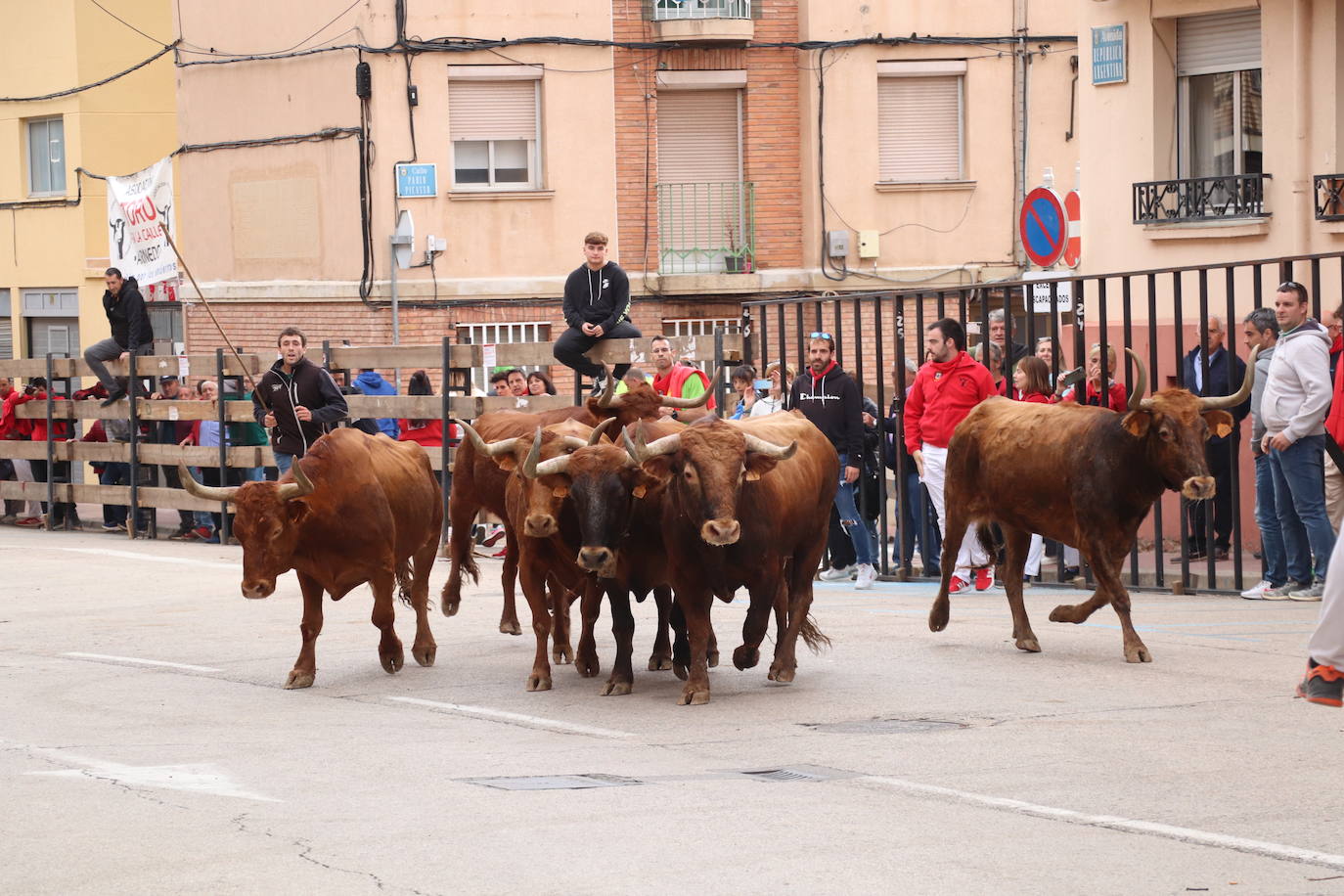 Los niños tomaron el relevo en las fiestas de Arnedo