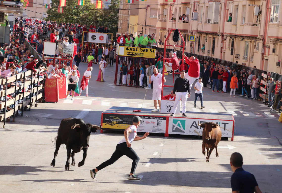 Arnedo ha vivido una semana de actos festivos en honor de San Cosme y San Damián