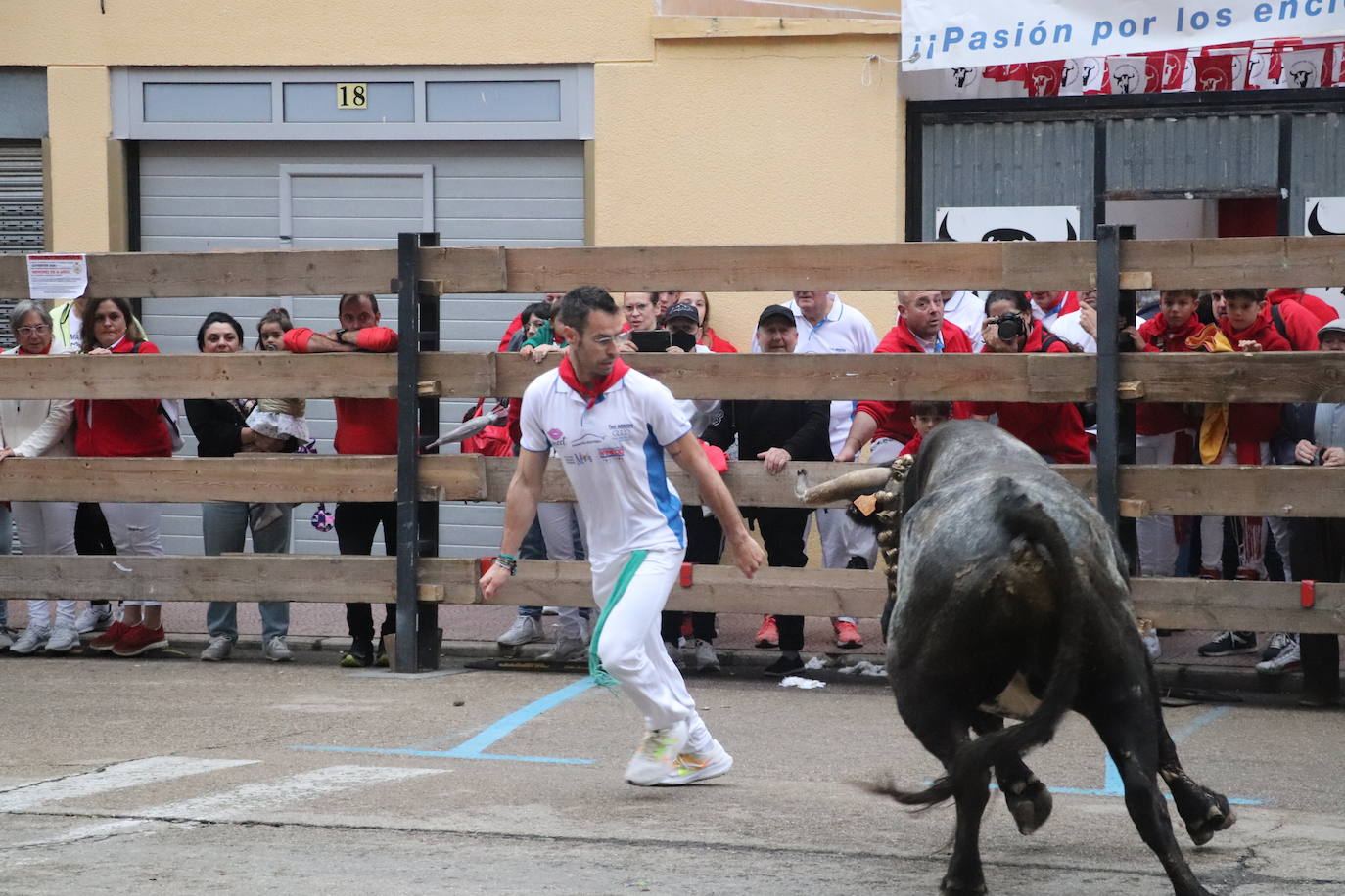 Último día de fiestas de Arnedo