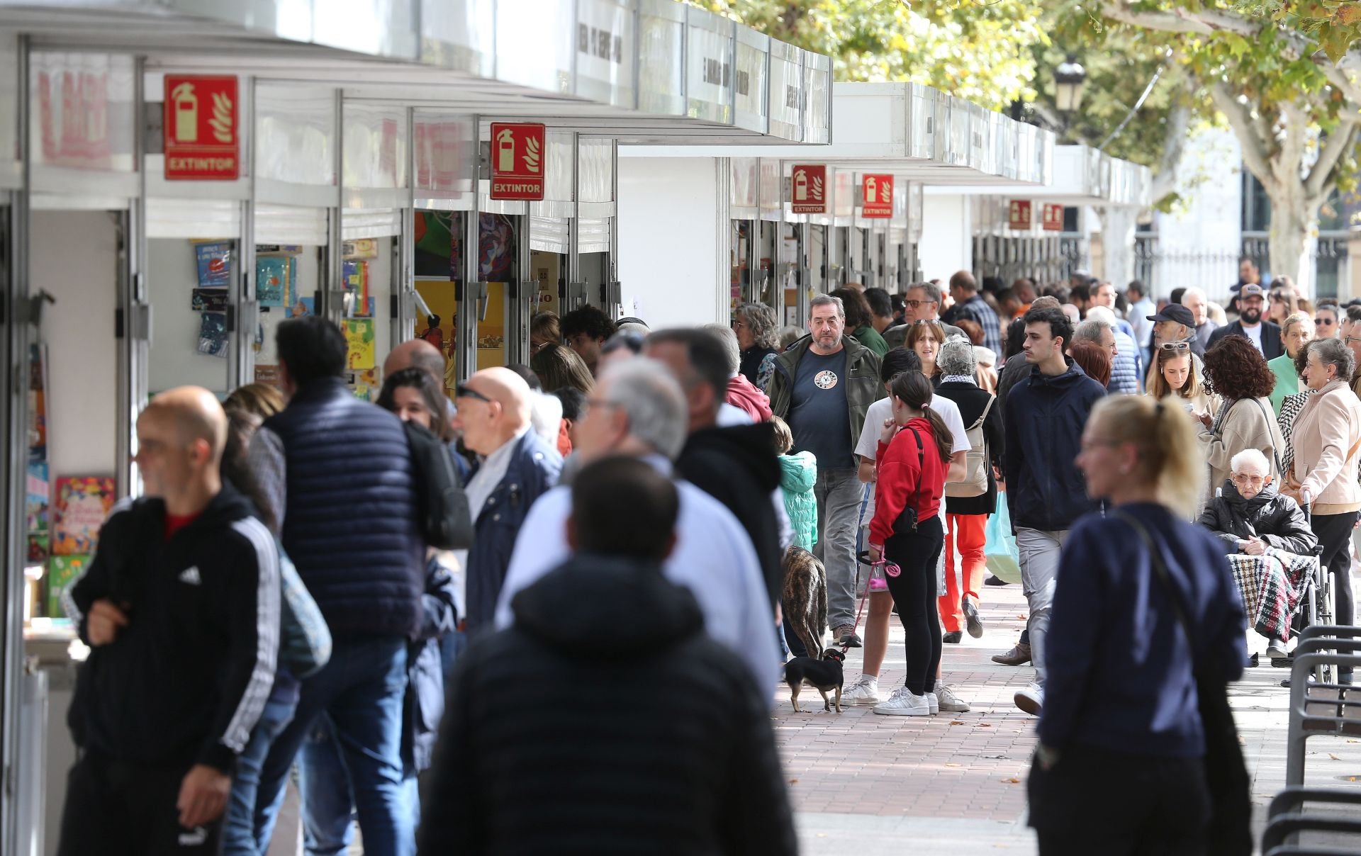 Feria del Libro Antiguo y de Ocasión de Logroño