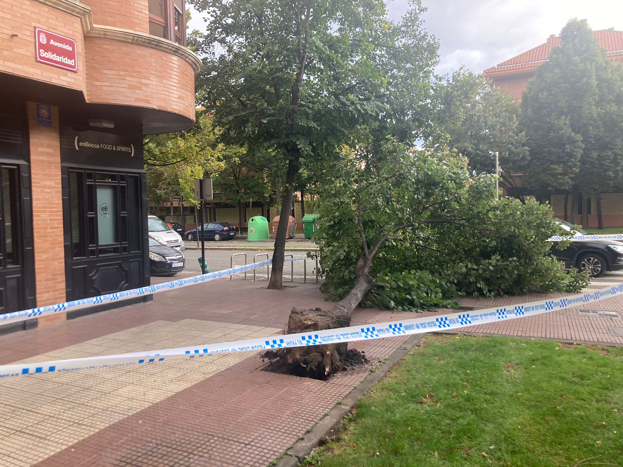 Árbol caído en Solidaridad y Padre Claret