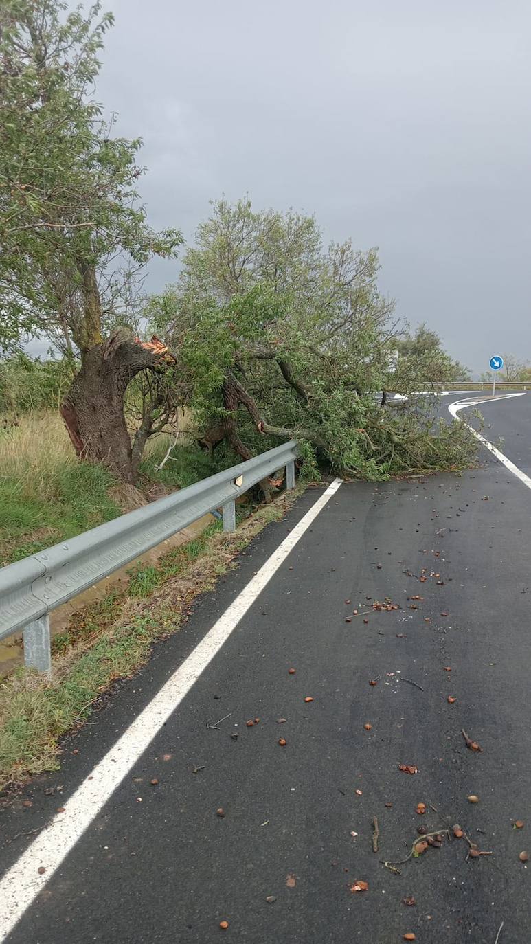 El viento ha causado numerosas incidencias en Corera