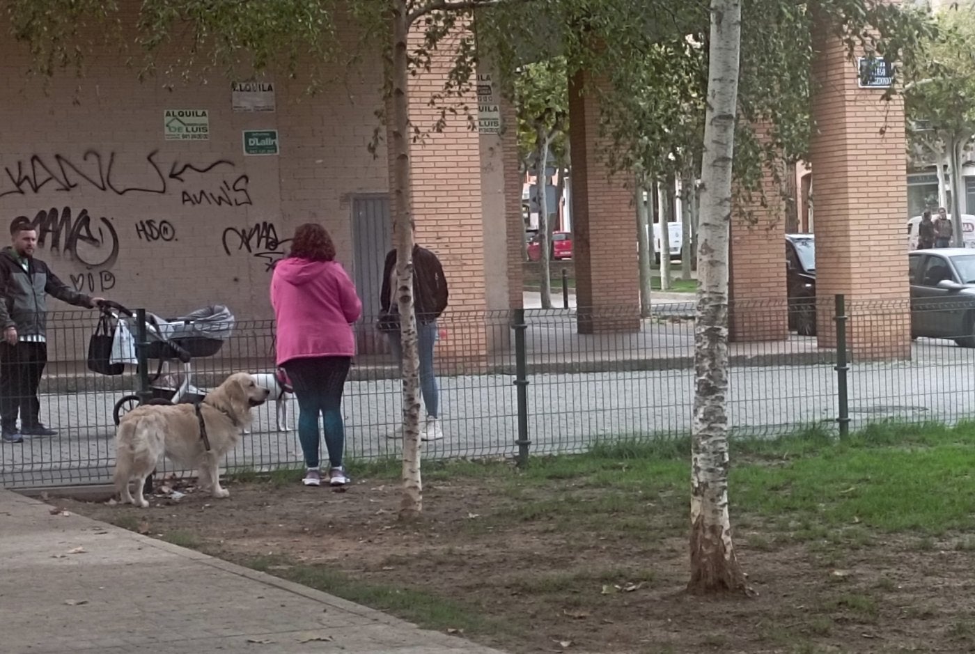 Zona de esparcimiento canino de la plaza Diego Camporredondo.