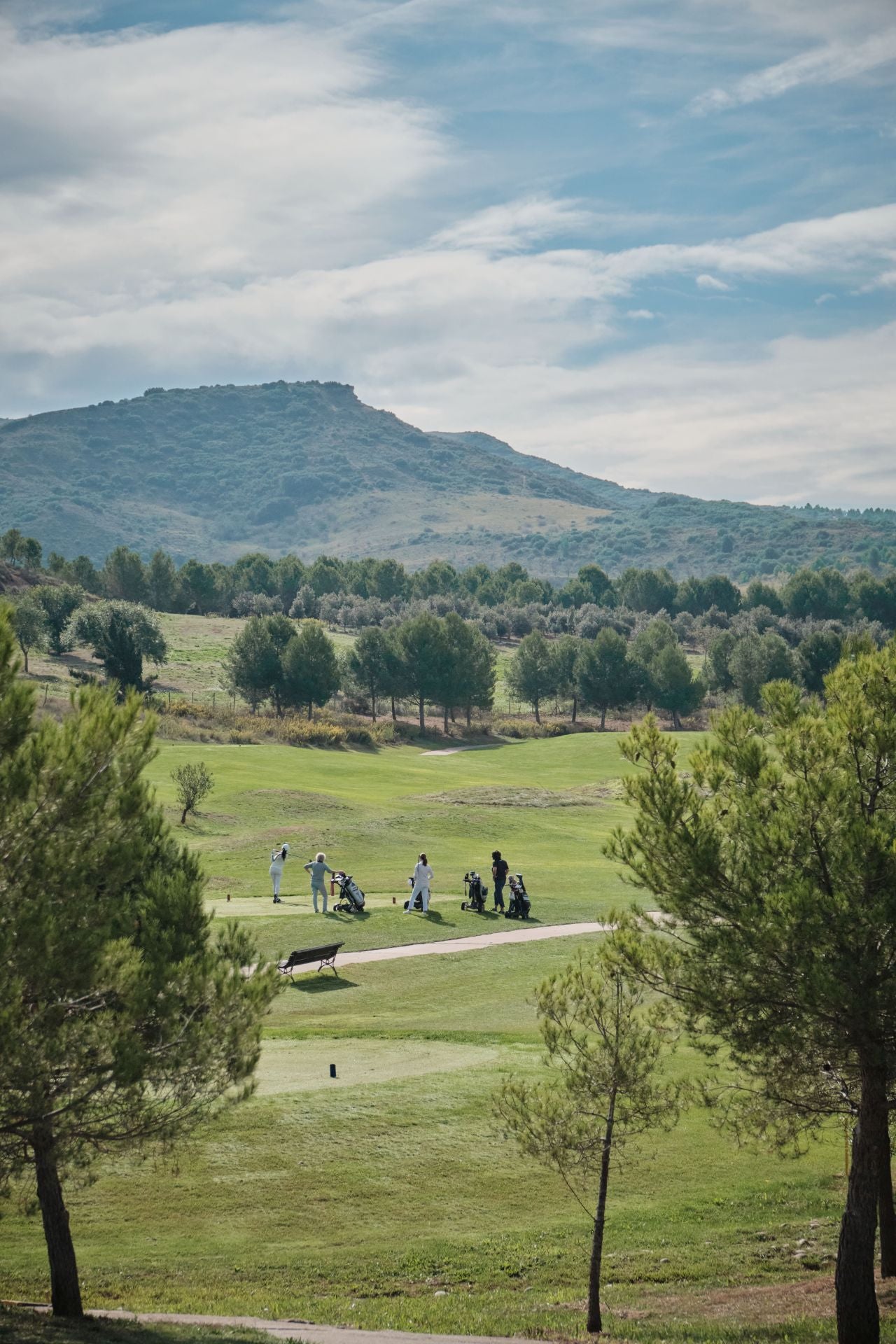 El Torneo Bodegas Montecillo, en imágenes