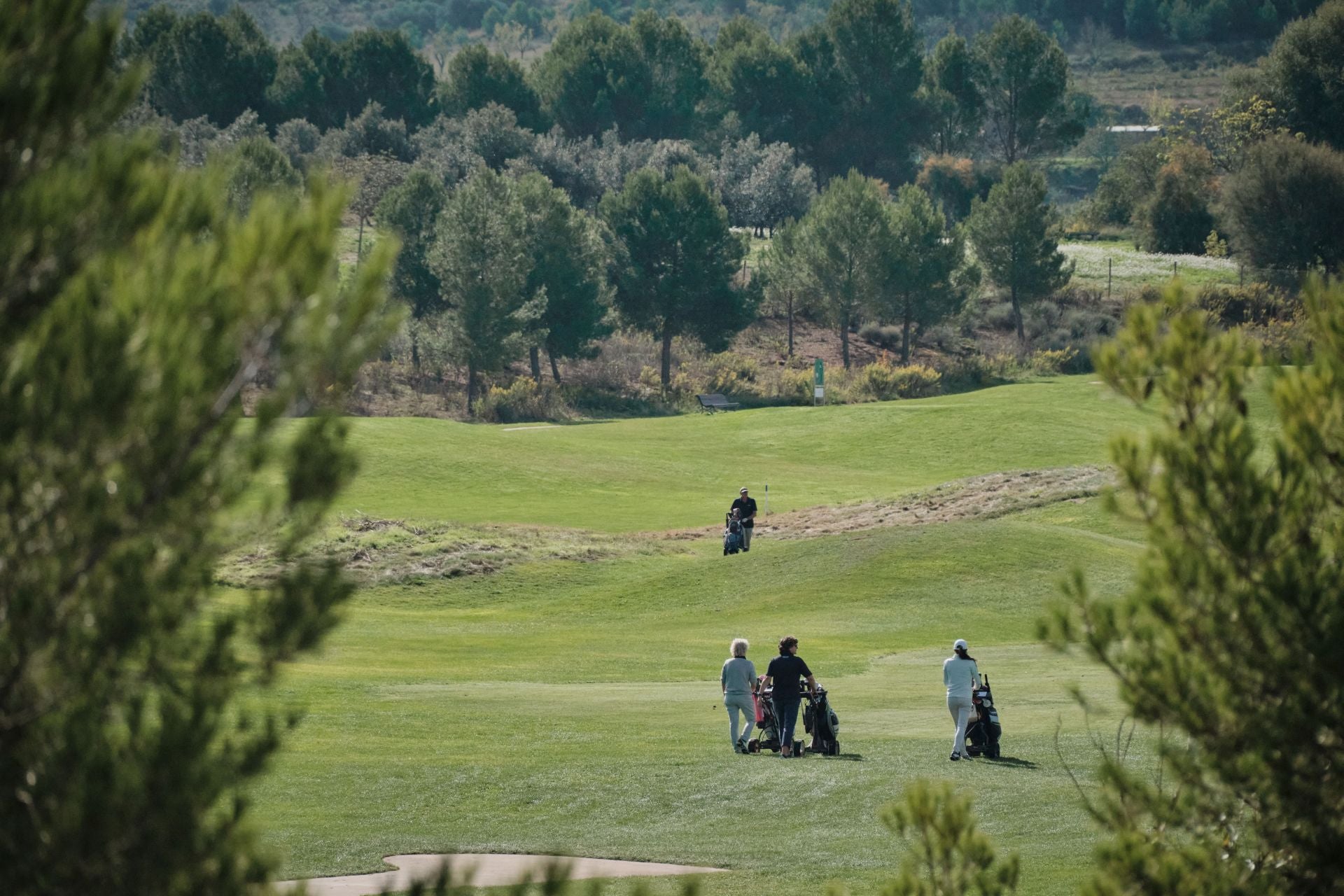 El Torneo Bodegas Montecillo, en imágenes