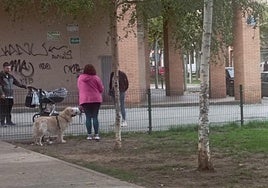 Zona de esparcimiento canino de la plaza Diego Camporredondo.