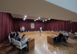 Pleno ordinario de octubre en el Ayuntamiento de Logroño.