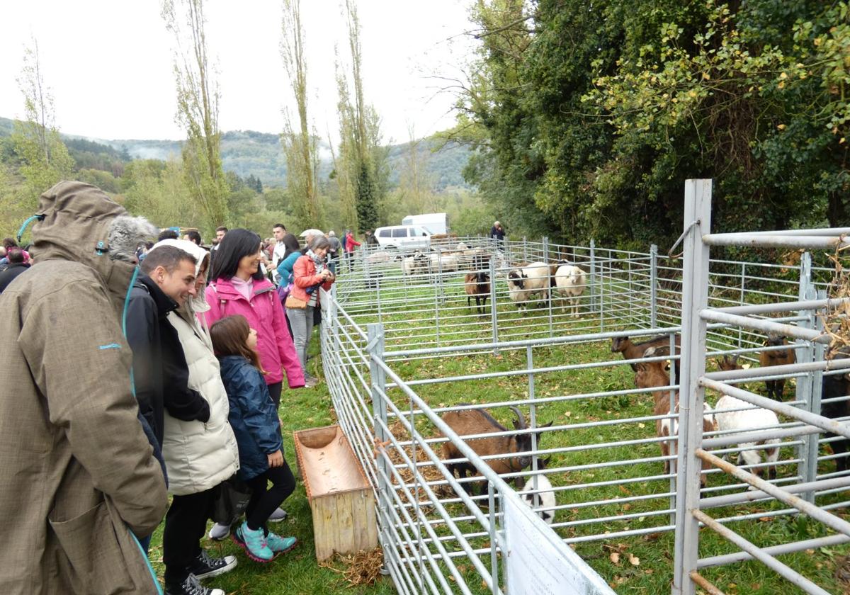 Centenares de visitantes disfrutaron con los animales de la exposición de ganado, ubicada en los ribazos del río Oja.