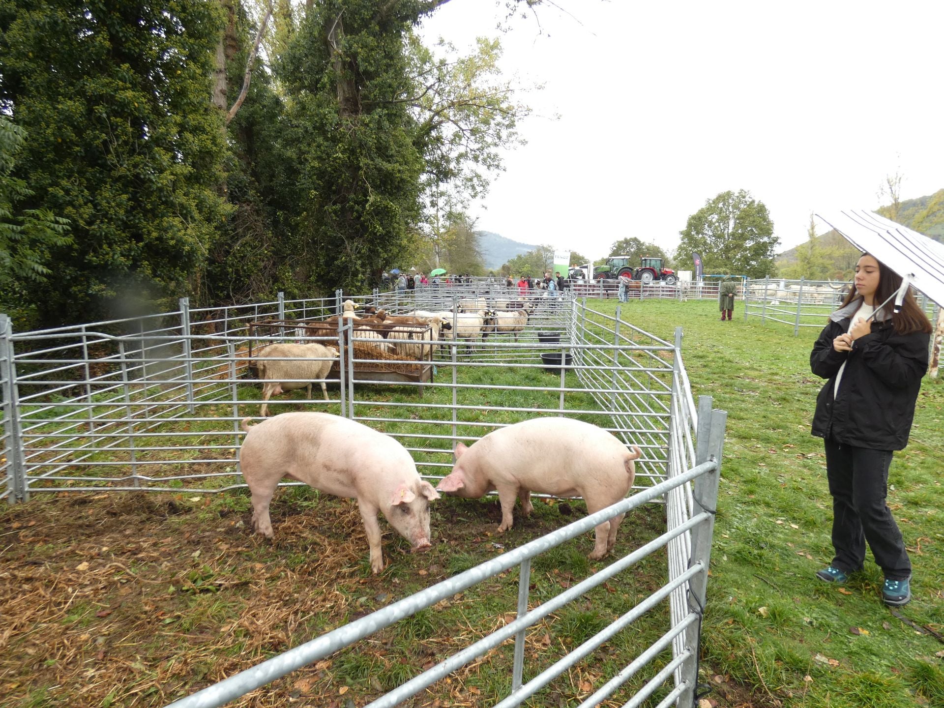 La feria ganadera y agroalimentaria de Ojacastro, en imágenes