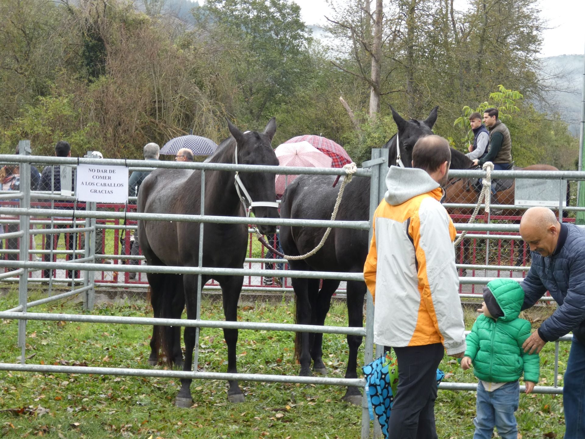 La feria ganadera y agroalimentaria de Ojacastro, en imágenes