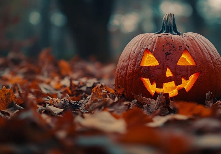 Estos son los planes de los centros jóvenes de Logroño para Halloween